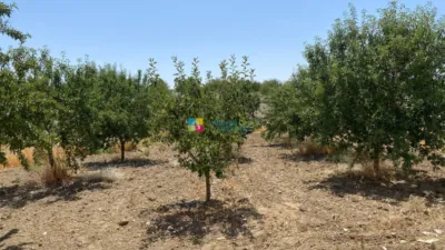 Finca rústica en Oria photo 25