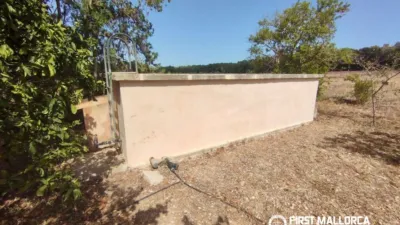 Finca rústica en alquiler en Sineu, Sineu de 2.400 €<span>/mes</span>