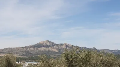 Terreno en venta en Sax - Vista 4