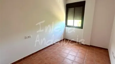 Apartment in Alcaucín photo 10
