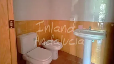 Apartment in Alcaucín photo 7