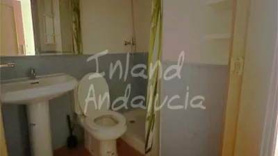 Apartment in Alcaucín photo 12