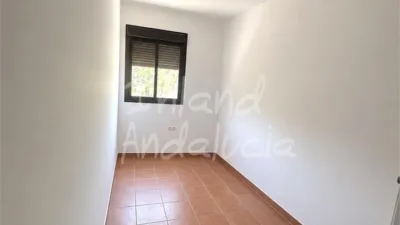Apartment in Alcaucín photo 6