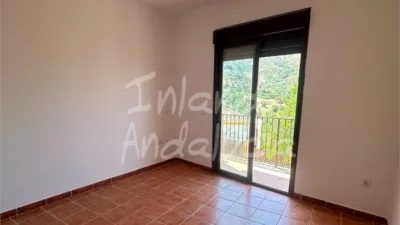 Apartment in Alcaucín photo 4