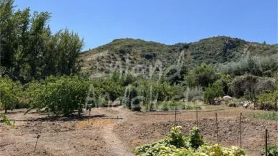 Rustic finca in Castillo de Locubín photo 5