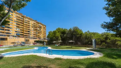 Pis – Orihuela - Vista 3