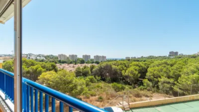 Pis – Orihuela - Vista 2