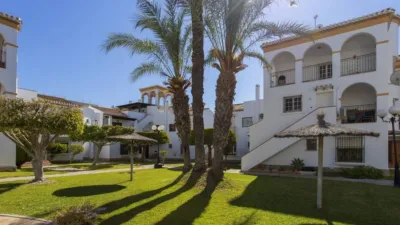 Apartment in Playa Flamenca-Las Piscinas photo 42