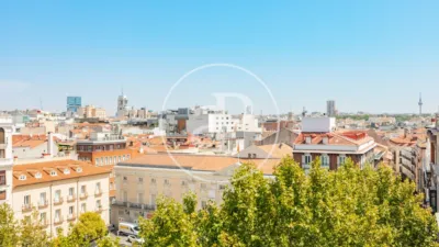 Apartment in Cortes-Huertas photo 19