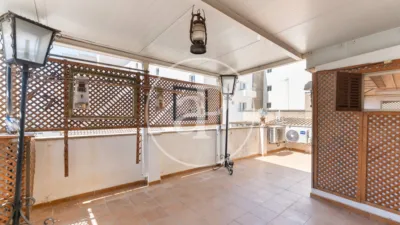 House in Can Pastilla photo 25