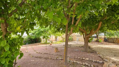 Detached House in El Pinós - Pinoso photo 14