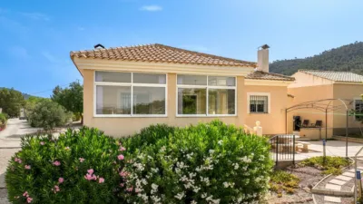Detached House in El Pinós - Pinoso photo 6