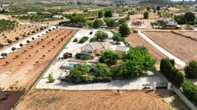 Detached House in El Pinós - Pinoso photo 2