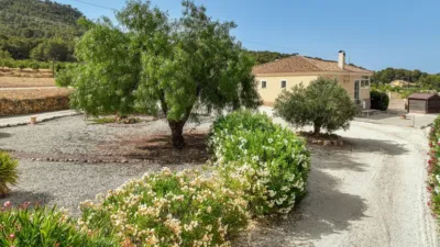 Detached House in El Pinós - Pinoso photo 4