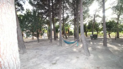 Chalet in Elda photo 13
