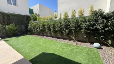 Apartment in Algorfa photo 29