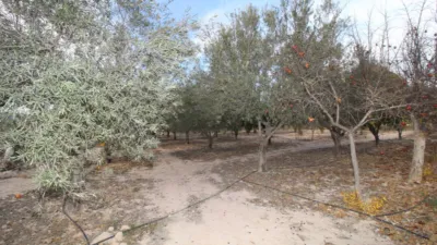 Chalet in Elda photo 19