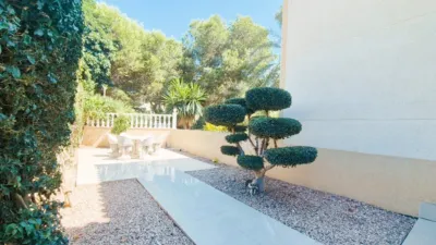 House in Villamartín photo 40