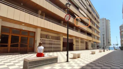 Pis – Torrevieja - Vista 2