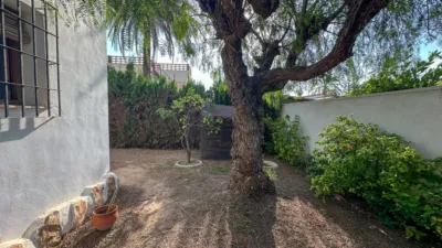Villa in Cabo Roig-La Zenia-La Regia photo 39