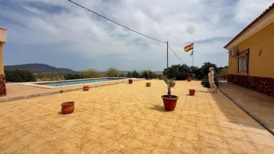 Chalet in El Pinós - Pinoso photo 35