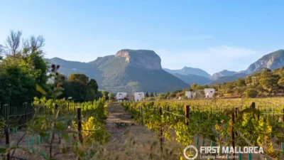 Rustic finca in Alaró photo 35