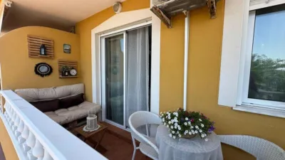 Apartment in Guardamar del Segura photo 27