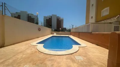 Apartment in Guardamar del Segura photo 29