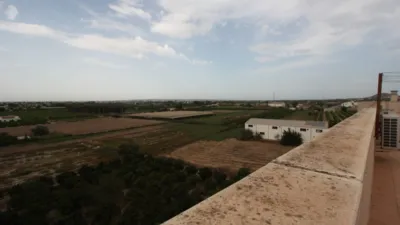 Apartamento en Formentera del Segura photo 15