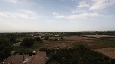 Apartamento en Formentera del Segura photo 14