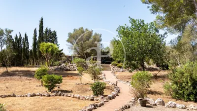 House in Algaida photo 62