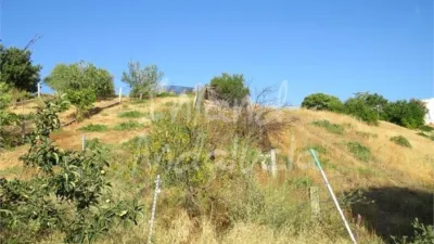 House in Las Casillas de Martos photo 16