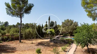 House in Algaida photo 4