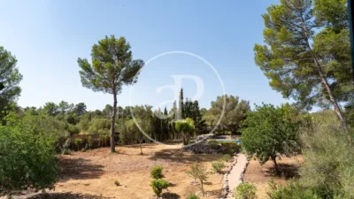 House in Algaida photo 65