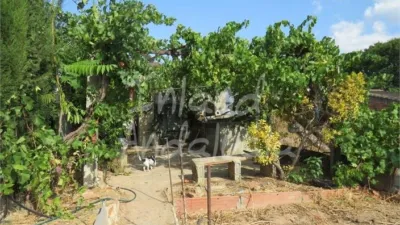House in Las Casillas de Martos photo 5