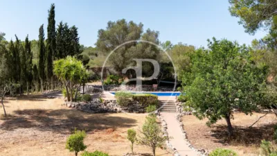 House in Algaida photo 66