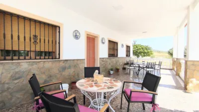 Rustic Finca in Yecla photo 9