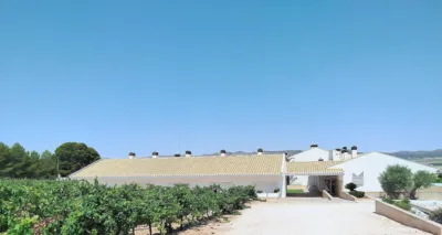 Rustic Finca in Yecla photo 5