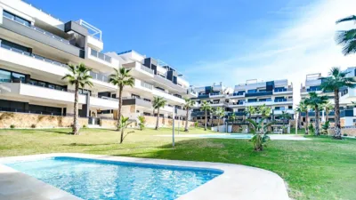 Pis – Orihuela - Vista 4