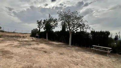 Finca rústica en Matola-La Foia-Las Bayas-La Marina photo 19