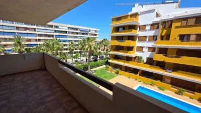 Pis – Orihuela, Urbanización Horizonte - Vista 2