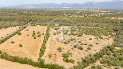 House in Sineu photo 2