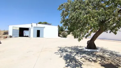 Rustic Finca in Yecla photo 38
