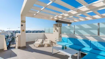 Apartment in Guardamar del Segura photo 25