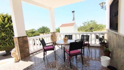 Rustic Finca in Yecla photo 7