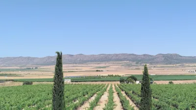 Rustic Finca in Yecla photo 33