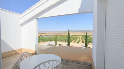 Rustic Finca in Yecla photo 32