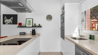 Piso – Orihuela - Vista 4