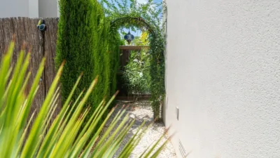 House in Algorfa photo 35