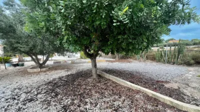 Finca rústica en Matola-La Foia-Las Bayas-La Marina photo 18